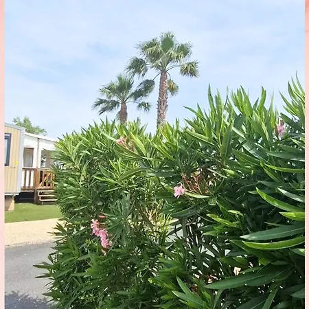 Campsite Les Sables Du Midi, Agreable Mobilhome 6 Personnes Valras-Plage